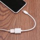 TYPE-C OTG KABLO ÇEVİRİCİ DÖNÜŞTÜRÜCÜ USB 3.1